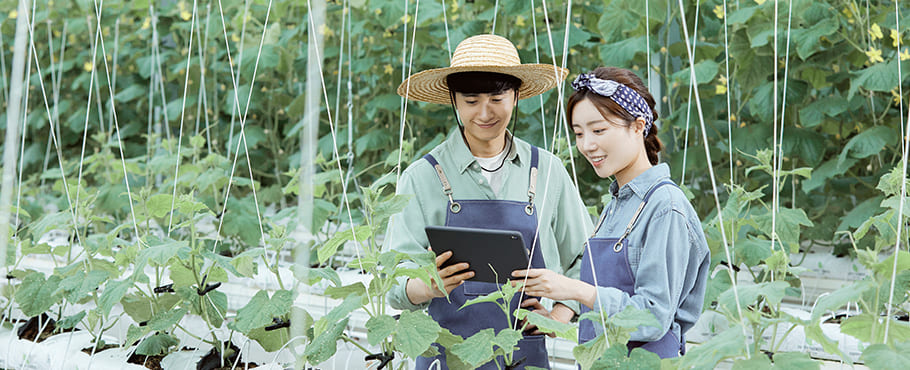 스마트농업경영학과